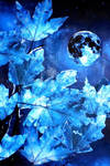 Silver Dream by HelaLe