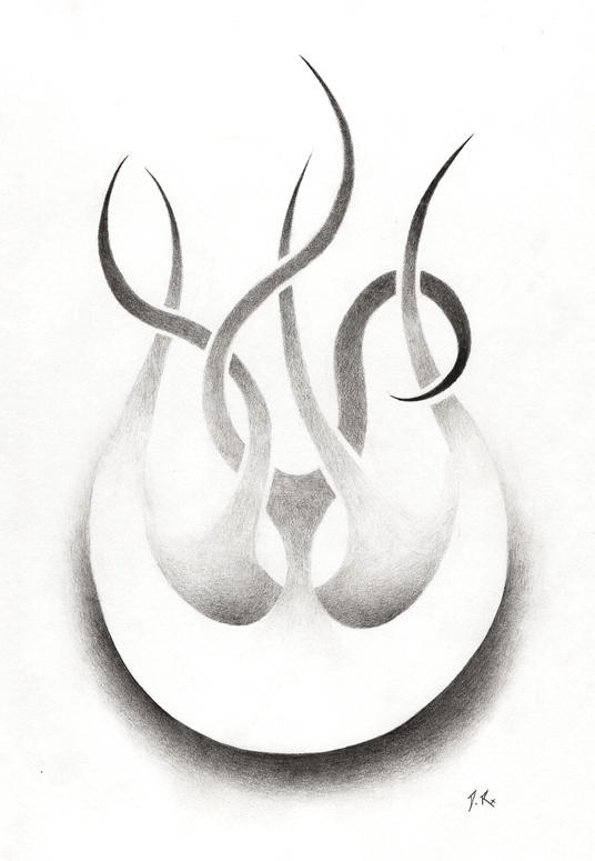 Fry Shadow Fire Shadow by DrakeTheRedEye on DeviantArt