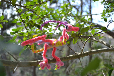 Tropical Glider