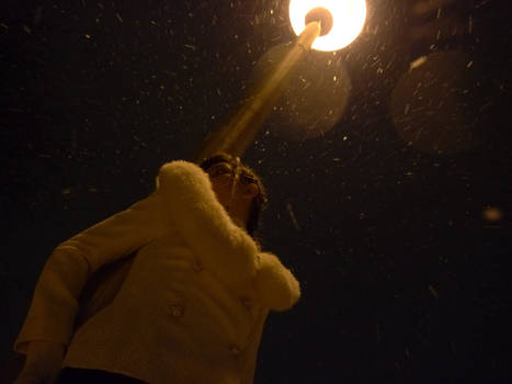 Nighttime Snow Shoot