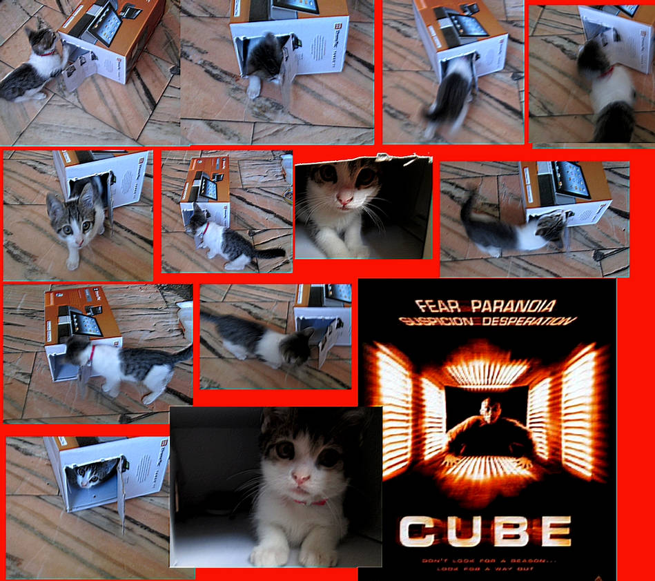 the cubeee by AnnarXy on DeviantArt