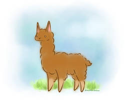 Basic Llama