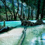 Grief - Fallen Tree
