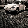 Beatle