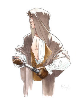 The Hooded Swordsman