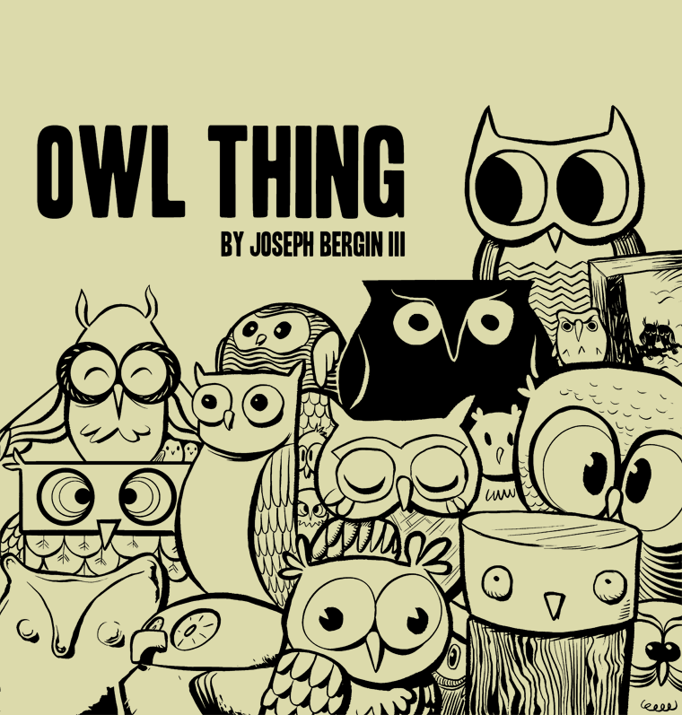 OWL THING COVER