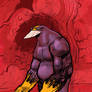 The Maxx