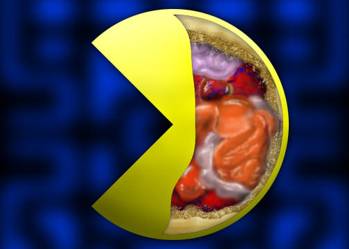 Pacman Anatomy by Liquos on DeviantArt