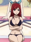 Erza Scarlet Bikini