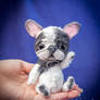 Jointed french bulldog with sculpted face