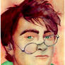 . harry potter painting .