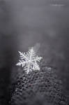 Snowflake by J-Farrell