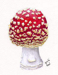 Toadstool