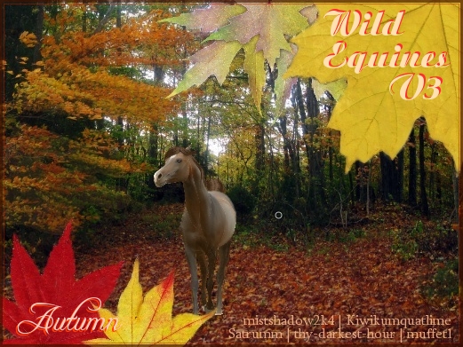 WE Autumn Contest