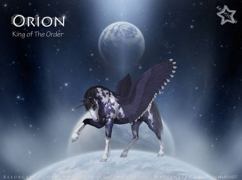 Orion - King of The Order