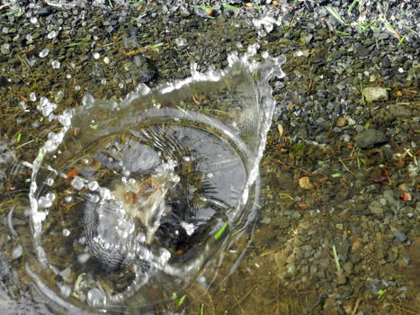 Stone splashed in water