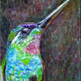 Hummingbird