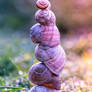 Snailshell Tower