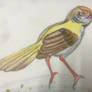 Tailorbird (re-post from my deleted account)