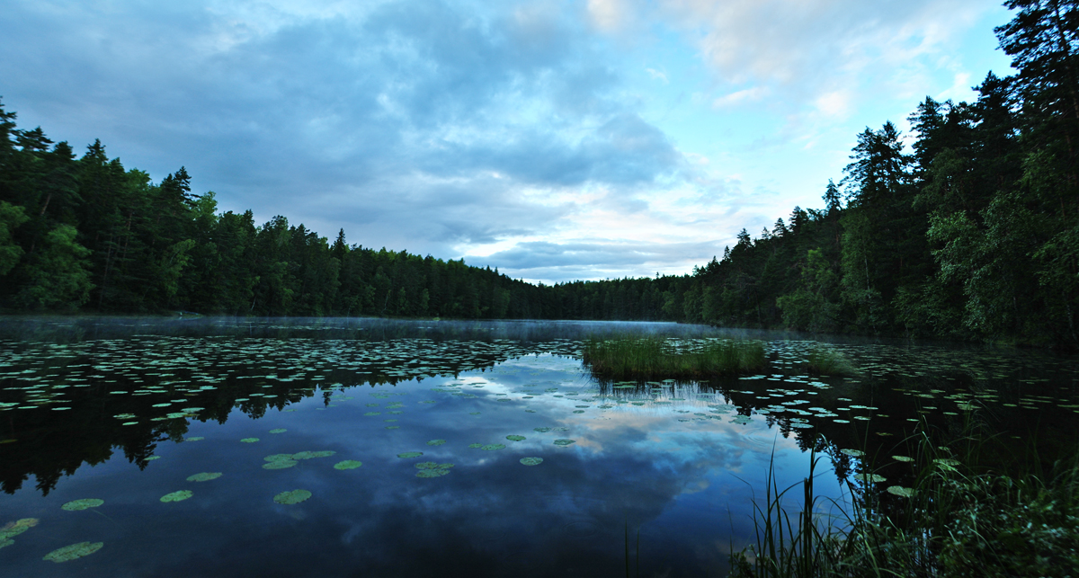 Pond.