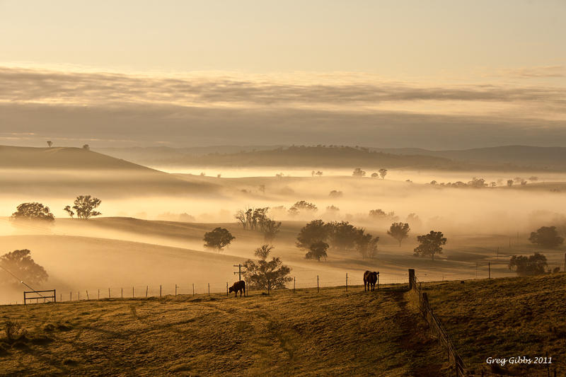 Magic Morning By CapturingTheNight On DeviantArt