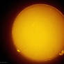 Huge Solar Prominence II