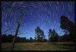 Moonlit Trails by CapturingTheNight