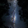 For The Past Present And Future Explorers