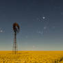 Field Of Dreams
