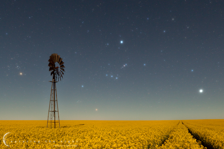 Field Of Dreams
