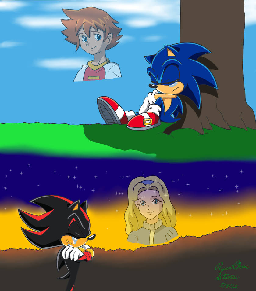 Sonic X] Chris works better than Amy here cuz of the Sonic/Shadow &  Chris/Maria parallel. A human with issues befriends a hedgehog and want  them to help humanity. Had it not been