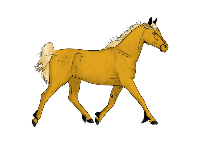 Желтая лошадка. Желтая лошадь. Лошадка с желтой гривой. Лошадь желтого цвета.