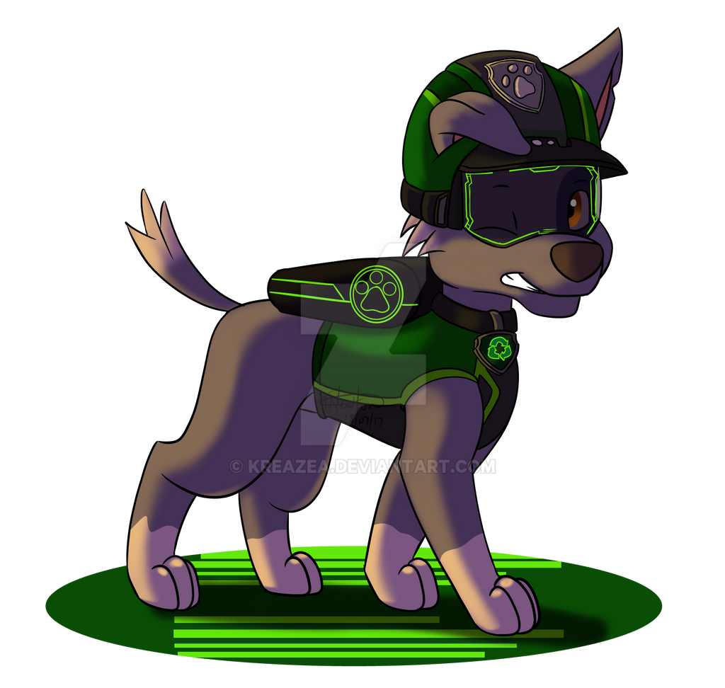 Paw patrol hot sale mission paw rocky