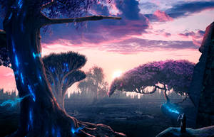 The Dreamy Tree