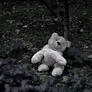 Abandoned teddy bear