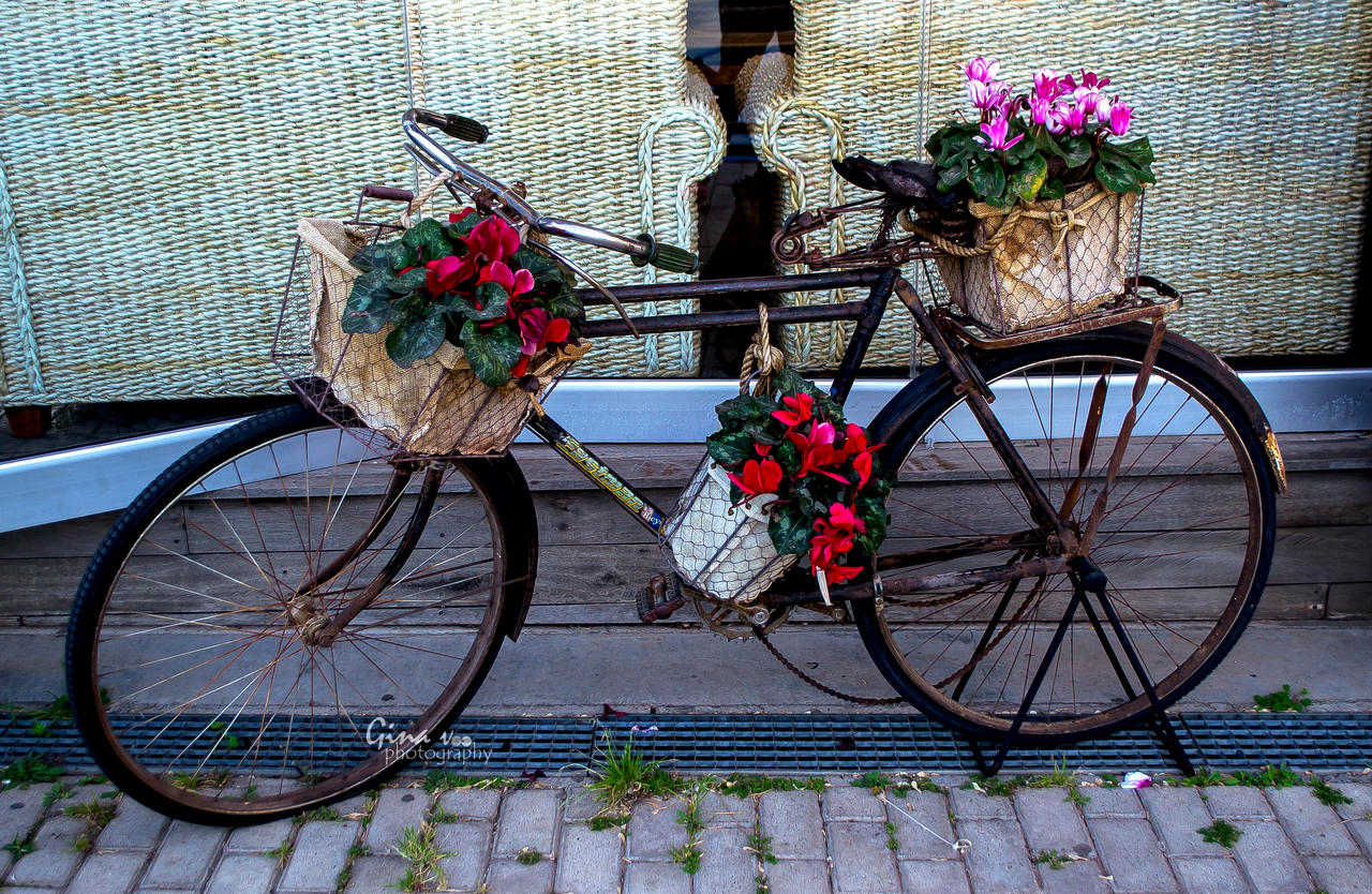 Love vintage. Love bicycles. Flowers are ok too.