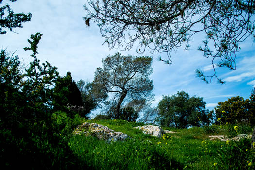 Refocus to resolve the chaos in your mind by ginavd