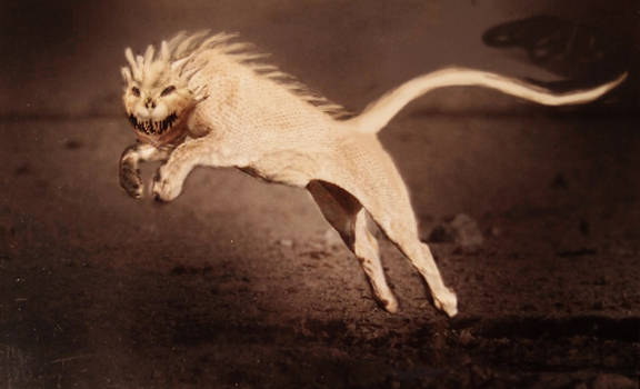 Lizard Lion 2