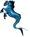 Sea Horse by billygoatsgruff