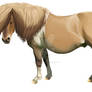 Pony Stallion