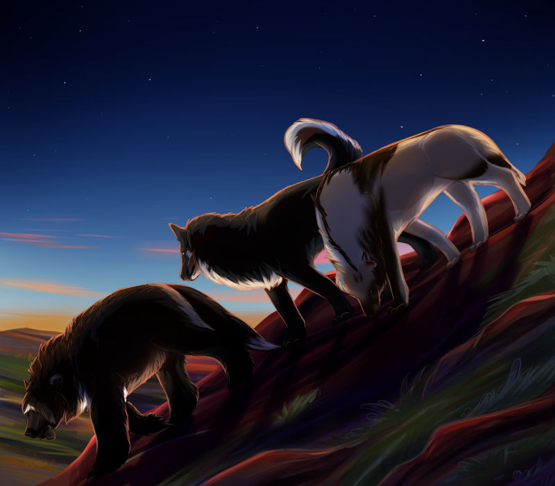 Starfall by billygoatsgruff on DeviantArt