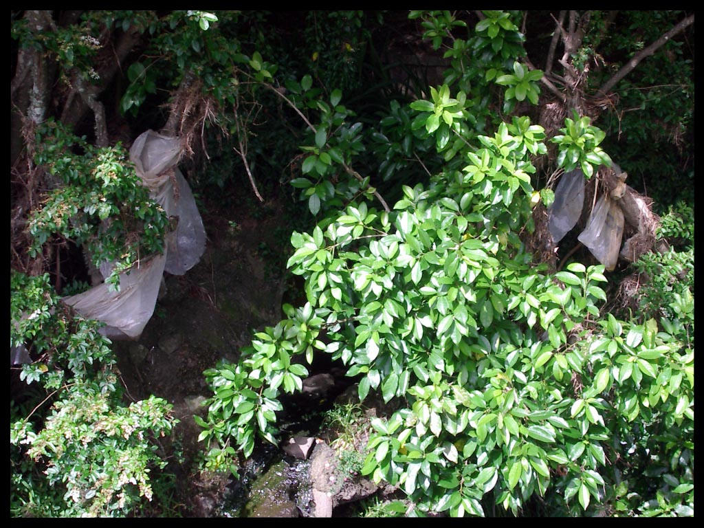 Polluting Paradise by shadowedwatcher on DeviantArt