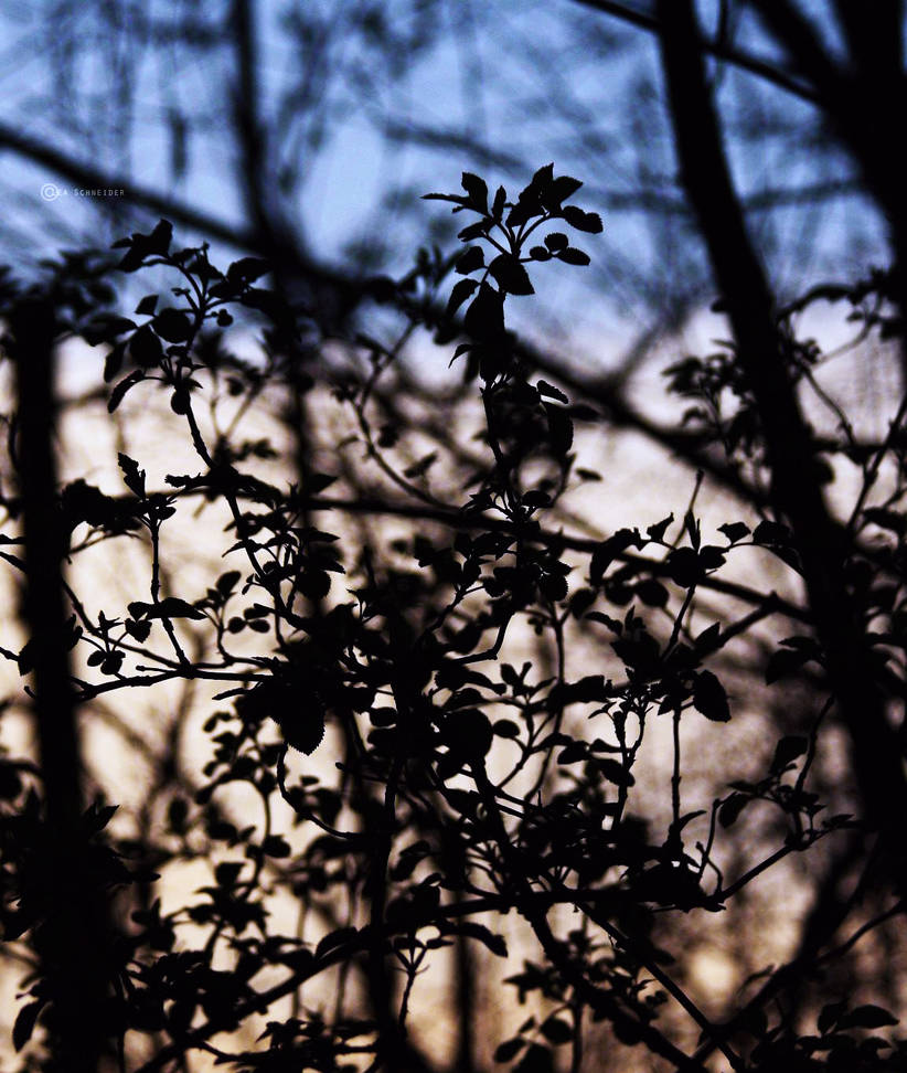 random silhouette by Fynnova on DeviantArt