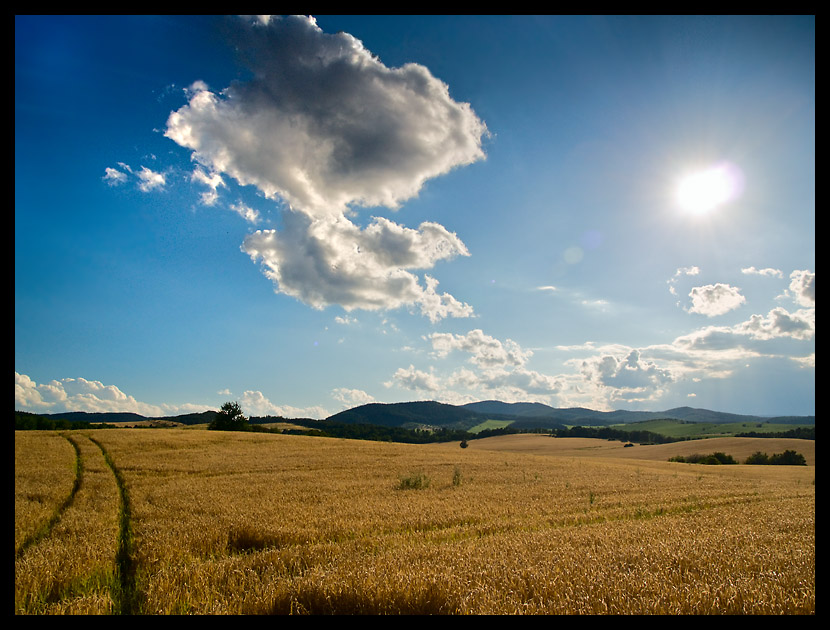 farmland