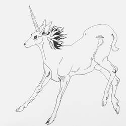 The Last Unicorn