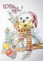 New year owl
