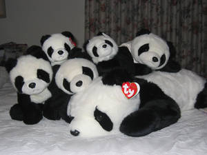 PANDAS