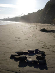 Rocky Love Along the Seashore.