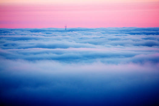 Sutro Tower Above the Fog