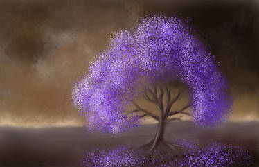 Jacaranda tree